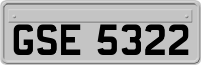 GSE5322