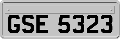 GSE5323