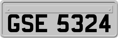 GSE5324