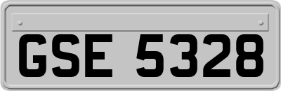 GSE5328