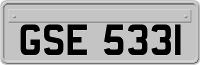 GSE5331