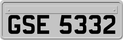 GSE5332