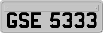 GSE5333