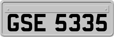 GSE5335