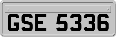 GSE5336