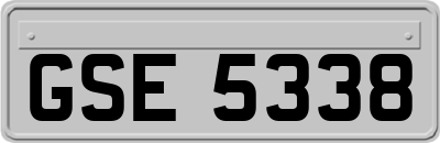 GSE5338