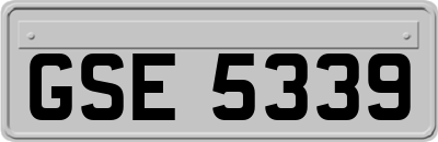 GSE5339