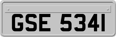 GSE5341