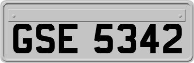 GSE5342