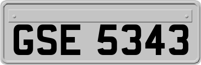GSE5343