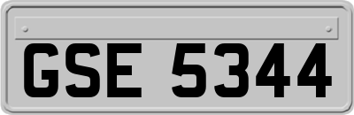 GSE5344