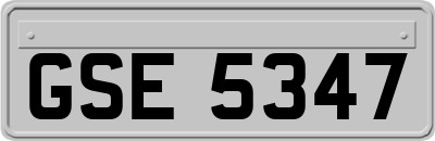 GSE5347