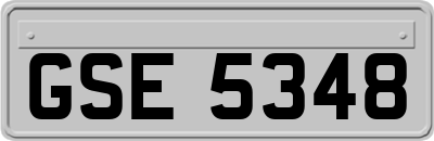 GSE5348