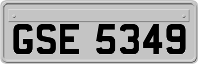 GSE5349