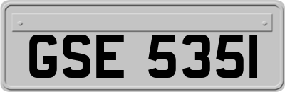 GSE5351