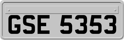 GSE5353