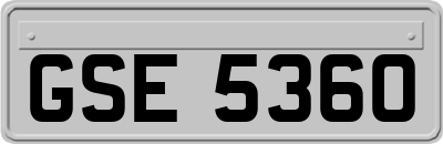 GSE5360