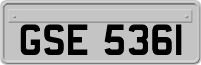 GSE5361