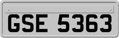GSE5363