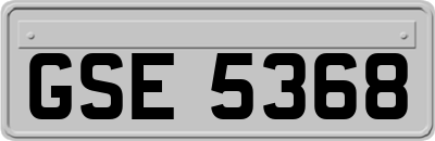 GSE5368