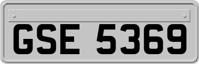 GSE5369