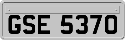 GSE5370