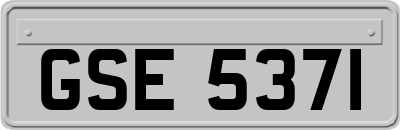 GSE5371