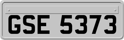 GSE5373