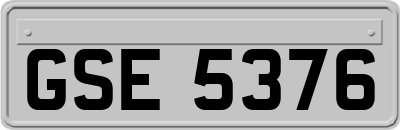 GSE5376