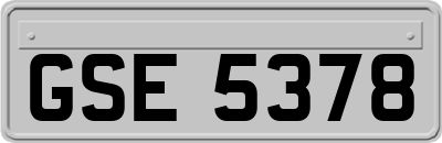 GSE5378