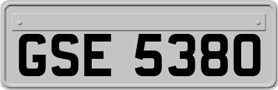 GSE5380