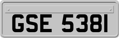 GSE5381
