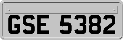 GSE5382
