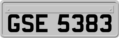 GSE5383