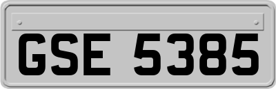 GSE5385