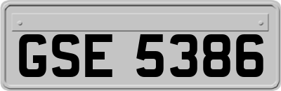 GSE5386