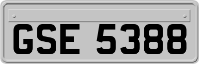 GSE5388