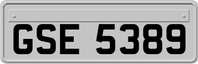 GSE5389