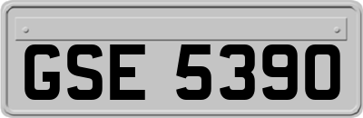 GSE5390