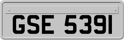 GSE5391