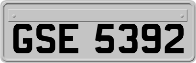GSE5392