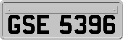 GSE5396