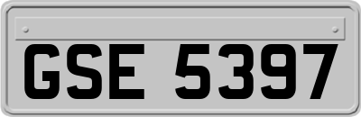 GSE5397