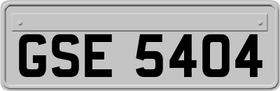 GSE5404