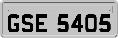 GSE5405