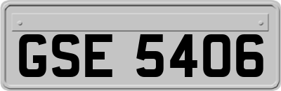 GSE5406