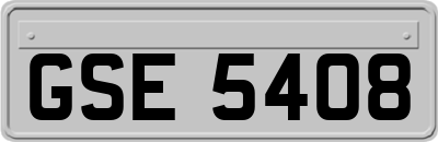 GSE5408