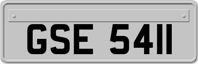 GSE5411