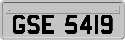 GSE5419