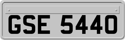 GSE5440